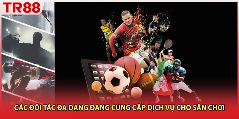 Các đối tác đa dạng đang cung cấp dịch vụ cho sân chơi