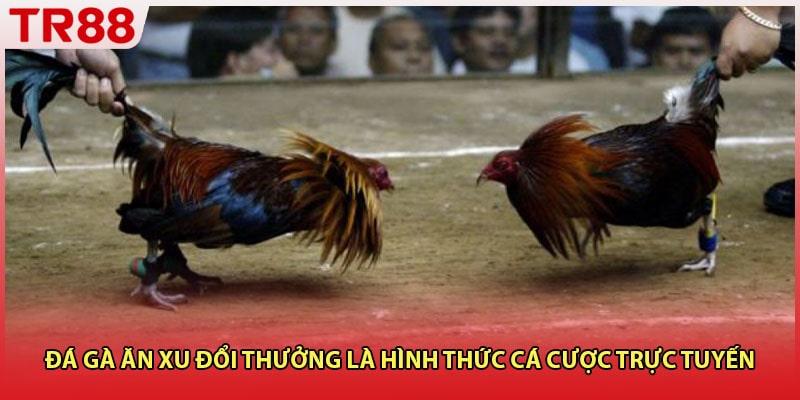 Đá gà ăn xu đổi thưởng là hình thức cá cược trực tuyến