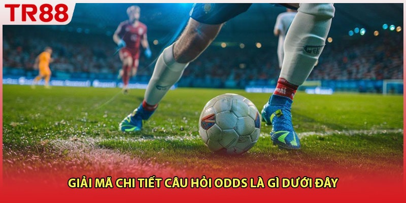Giải mã chi tiết câu hỏi odds là gì dưới đây