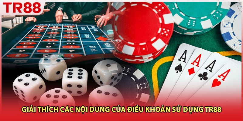 Giải thích các nội dung của điều khoản sử dụng TR88