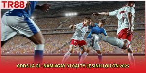Odds Là Gì - Nắm Ngay 3 Loại Tỷ Lệ Sinh Lợi Lớn 2025