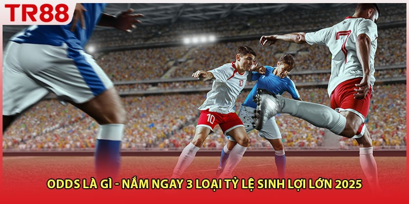 Odds Là Gì - Nắm Ngay 3 Loại Tỷ Lệ Sinh Lợi Lớn 2025